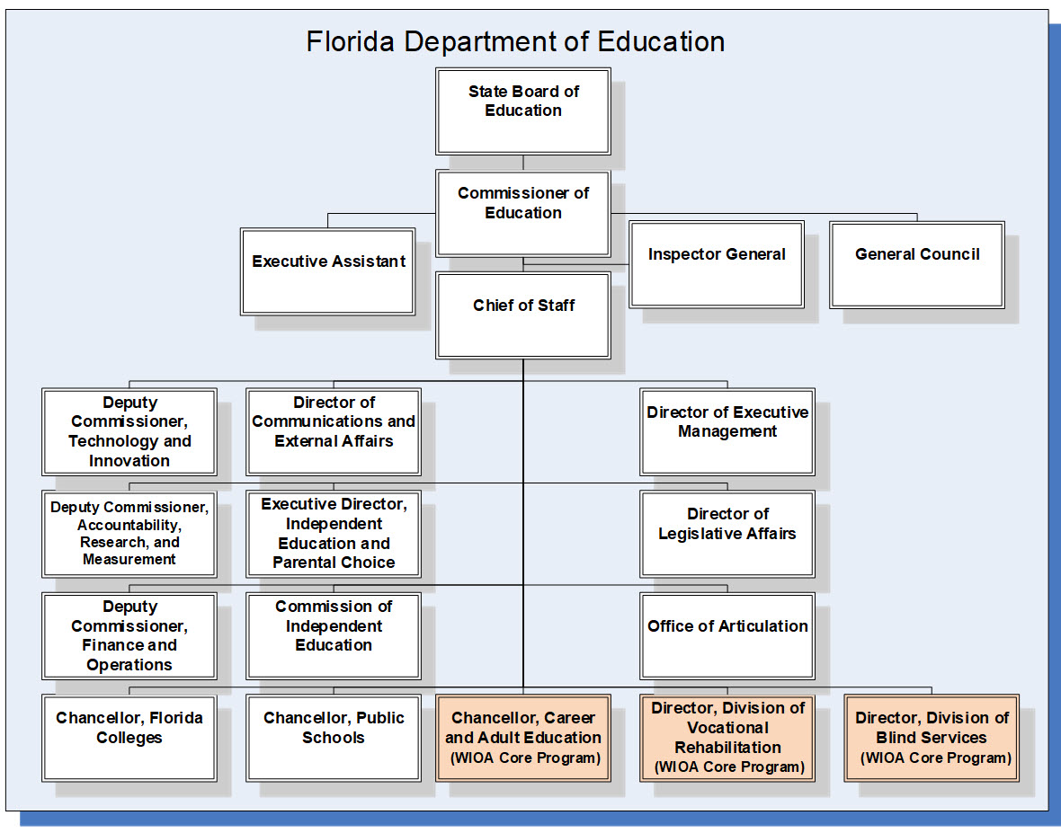 Broward College Organizational Chart